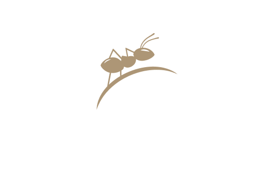 Et La Fourmi - restaurant NANTES - Bar Nantes - Bar Centre Nantes - Bar Cocktails Nantes - Bar Animé Nantes - Bar Animé Nantes